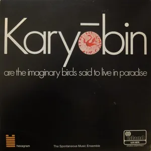 Karyobin